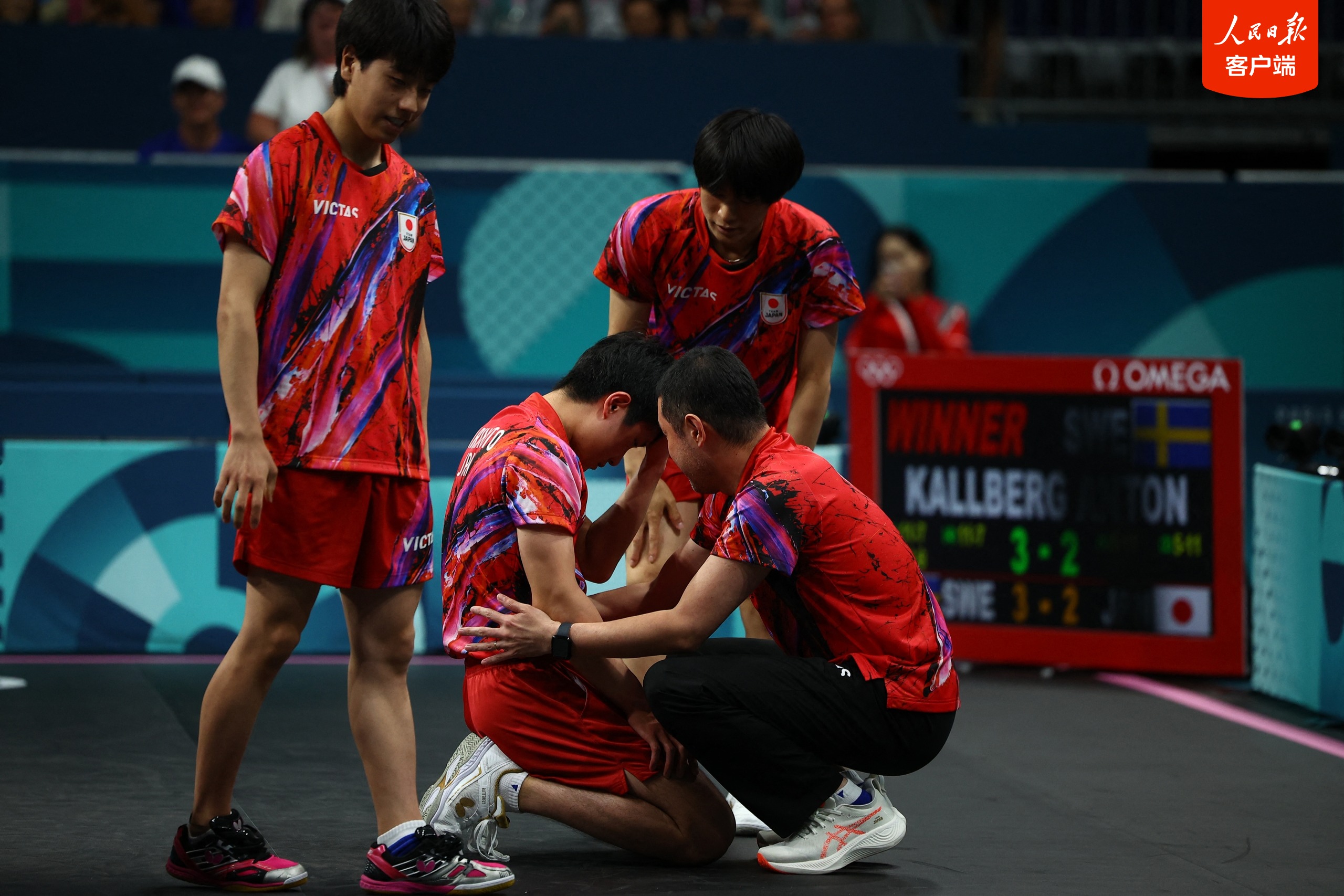 日本队完胜奥地利队，张本智和点燃赛场
