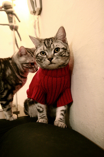 湖人稳扎稳打轻取奇才，小贾伦季后赛模式开启接管比赛