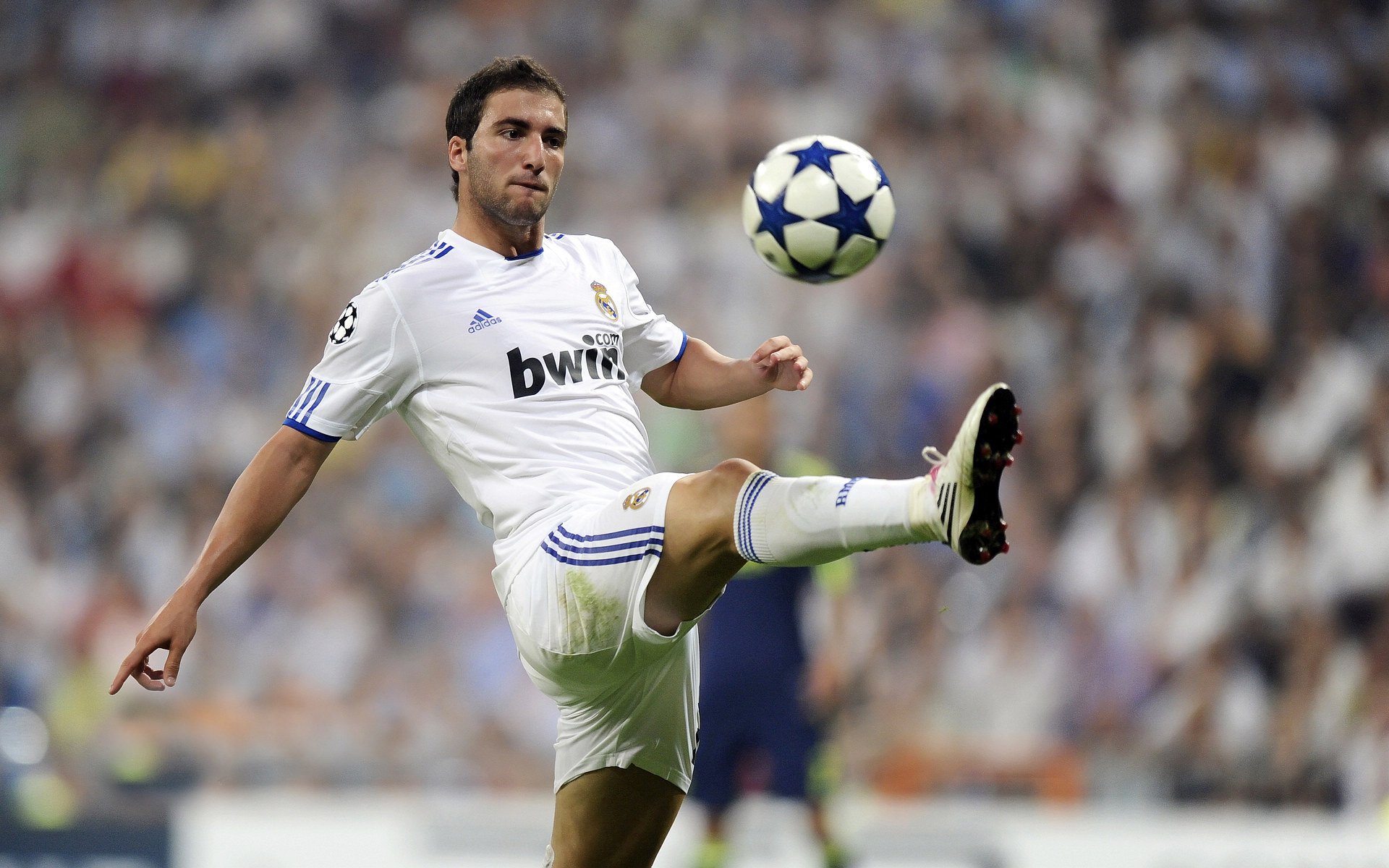 厄德高在焦点战证明自己，国际米兰打穿卡塔尔，双线战场上的战术与意志